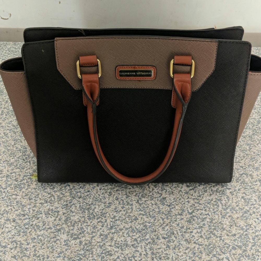 Adrienne Vittadinio purse